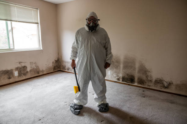Best Attic Mold Removal  in Greencastle, PA